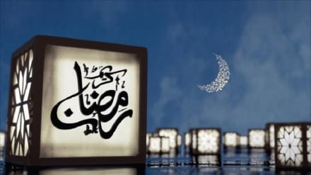 “11 aýyň soltany”