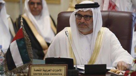 BAE'den Türkiye'ye Libya eleştirisi