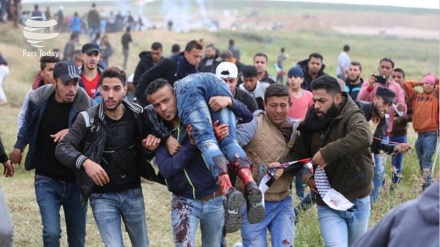 86 palestinezë plagosen në të premten e nëntë të marshit të madh 