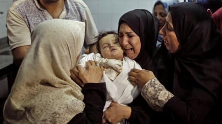 2018 minnə sori dəmeku de sionist rejimi hərbion dasi fələstinıjə şəhidə hırdənon ədəd.