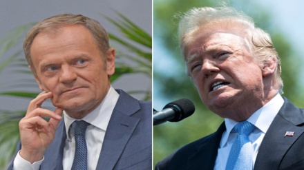 Tusk: 