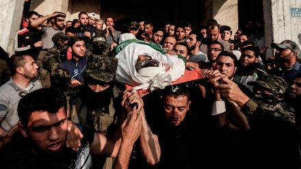 Martirizohet një tjetër i ri  palestinez