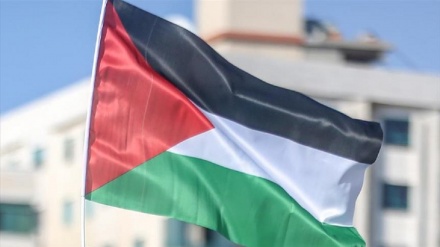 Gratë palestineze javën e ardhshme organizojnë protestë të madhe në mbështetje ndaj Rripit të Gazës