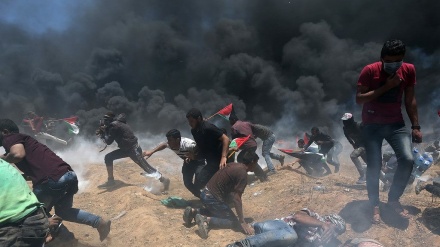 犹太复国主义政权向加沙地带北部发动火炮袭击 1名巴勒斯坦人牺牲