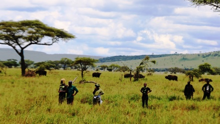 SAUTI, Polisi ya Rwanda yawataka raia kuacha kuingia hifadhi za Tanzania kinyemela ili kuepuka matatizo