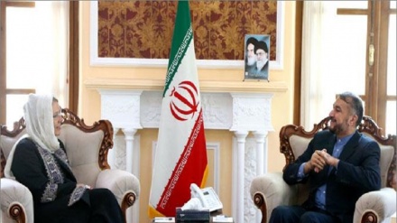 Emir Abdullahiyan: Lübnan'ın son seçimleri, akılcılık ve hikmet'in hakimiyetinin teyidiydi