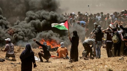 Sejak Awal 2018, Israel Bunuh 18 Anak Palestina