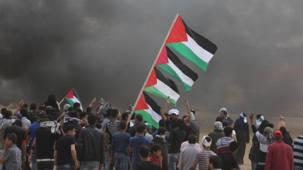 Ulama Al-Azhar Wajibkan Jihad Membebaskan Palestina