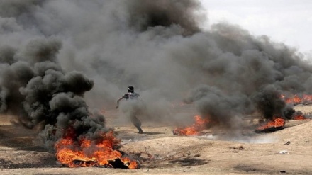 Terluka Parah, Pemuda Palestina ini Gugur Syahid