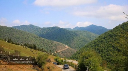 Tolışə ğəşənqə bandon