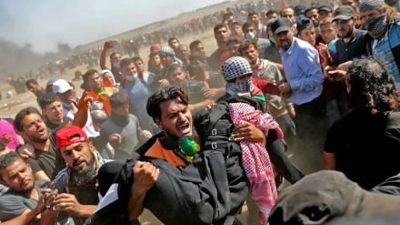 Lima Warga Palestina Cidera akibat Serangan Militer Israel di Timur Gaza