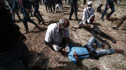 São já 16 os palestinianos mortos em Gaza por soldados israelitas