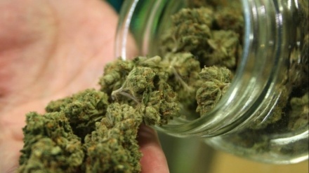Avrupalı ülkeler İran'a en büyük Marijuana (esrar) uyuşturucusu ihracatçısı
