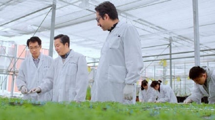 中国とイランの研究者、新たなマラリア治療薬を開発