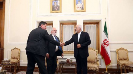 Zarif: Goyon Bayan Baka Wanda Turawa Suka Bawa Shirin Nukliyar Kasar Iran Bai Wadatar Ba.