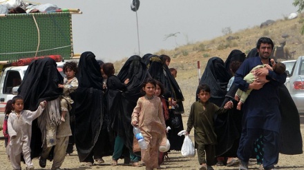  افغانستانی ها  با فروش اثاث خانه‌هایشان از کشور فرار می کنند