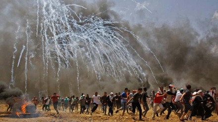 Krimet e sionistëve në Rripin e Gazës