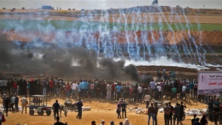 АҚШнинг иддаолари ва фаластинликларнинг мазлумлиги 