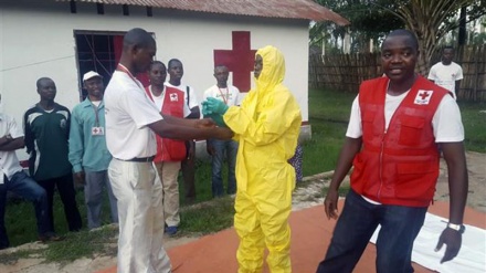 Congo health minister confirms 3 more Ebola cases