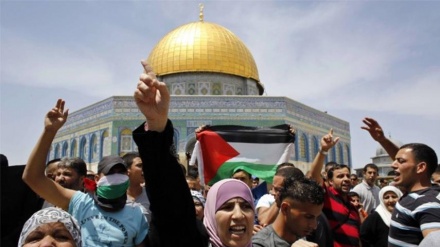 世界ゴッツの日が近づく中で