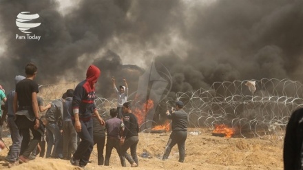 Kekerasan Israel terhadap Rakyat Palestina dan Lampu Hijau AS 