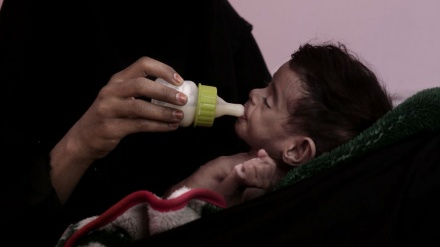 Гуманитарная катастрофа в Йемене