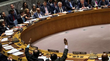 Dewan Keamanan Gelar Pertemuan Darurat untuk Palestina