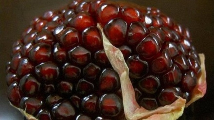 Анорнинг хусусиятлари