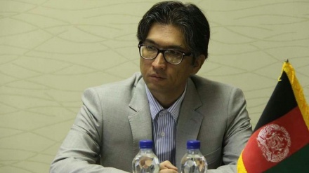 وزارت معارف برنامه های گسترده ای را در عرصه تعلیمات عمومی و سوادآموزی روی دست دارد