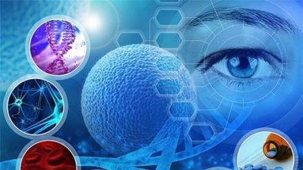 Irán pionero en crecimiento de producción de ciencia