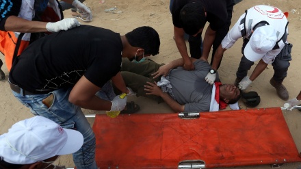 Plagosen disa palestinezë njëkohësisht me transferimin e ambasadës së Amerikës nga Tel Avivi në Kodsin e shenjtë