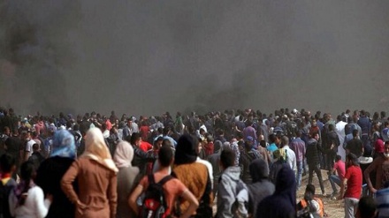 Ğəzzə məntəğədə yarəjə bə fələstinıjə cıvoni şəhodət.