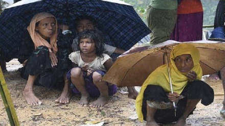 Myanmar should be referred to ICC for crimes against Rohingya: Rights groups