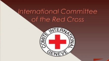 Najeriya: An Kashe Wata Ma'aikaciyar Agaji Na Kungiyar Red Cross