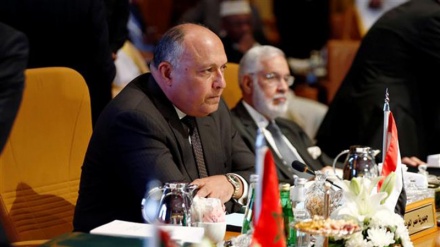 Egypt says sending Arab troops to Syria is a possibility