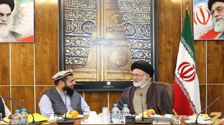 تاکید ایران و افغانستان بر ارائه راهکار حل مشکلات امت اسلامی در مناسک حج