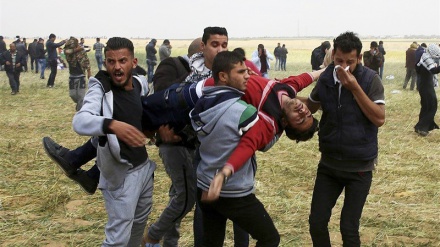 加沙巴勒斯坦青年牺牲