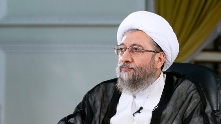 奥姆利•拉里贾尼：人权已成为敌人对各国施压的工具