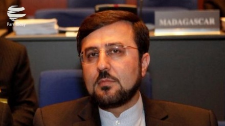 Kazım Garibabadi, İran'ın Viyana'daki Uluslararası Teşkilatlardaki Daimi Temsilcisi