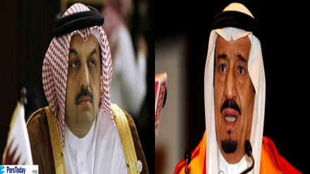 सऊदी अरब की धमकियां केवल गीदड़ भभकियां हैं꞉ क़तर