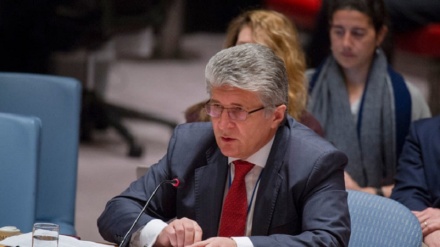 国际社会要求犹太复国主义政权停止对巴勒斯坦人民犯罪作恶