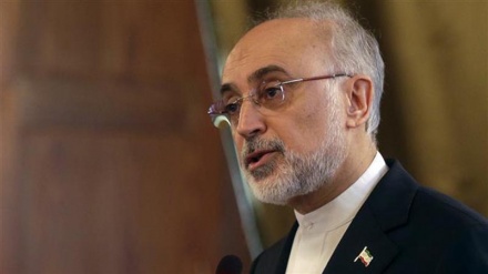 'Dreadful' future awaits world if nuclear deal collapses: Salehi