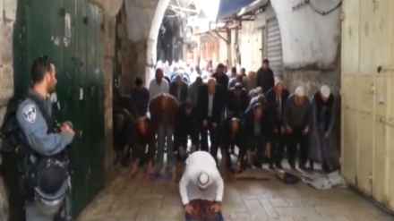 Қудсда намоз уқиймиз. 3(ВИДЕО) 