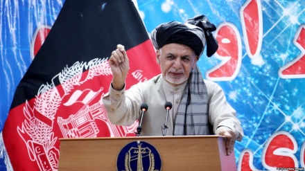 阿什拉夫加尼高度评价上合组织的作用和地位及阿富汗与中国的关系