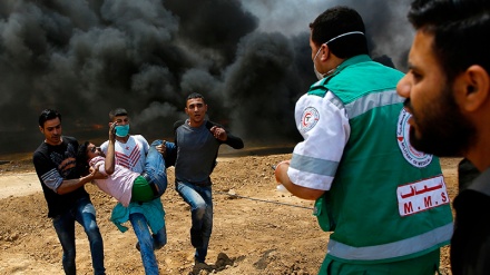 Sionistët kanë plagosur 4 protestues palestinezë