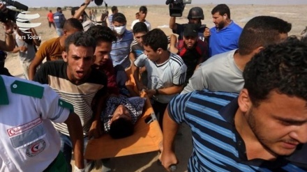 Ғазо секторидаги намойишларда 4 нафар фаластинлик шаҳид бўлган ва 120 нафар инсон оғир тан жароҳати олган