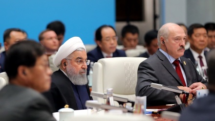 鲁哈尼：伊朗愿意扩展地区和国际经济合作