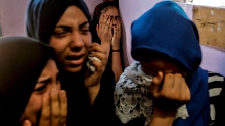 Martirizimi i të riut palestinez nga forcat ushtarake të regjimit sionist