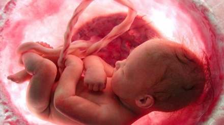 नया सवेराः विश्व विख्यात भ्रूणशास्त्री प्रोफेसर 