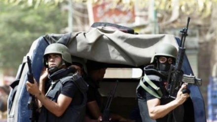 About 10 suspected Daesh members killed in Egypt